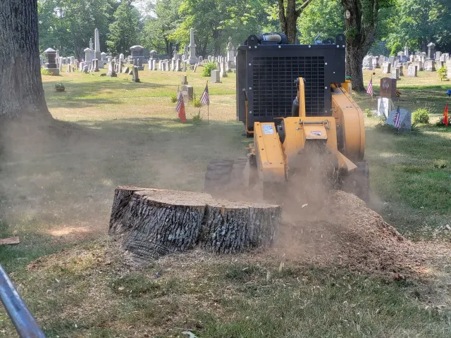 stump grinding in a cemetery
