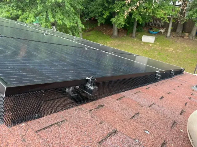 A pest sealing in Worcester, MA by Matts Wildlife Solutions