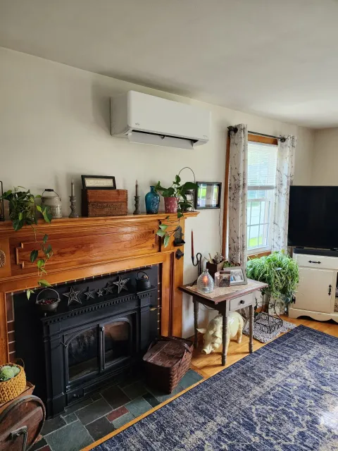 Living room with fireplace, plants, TV, and a wall-mounted air conditioner.