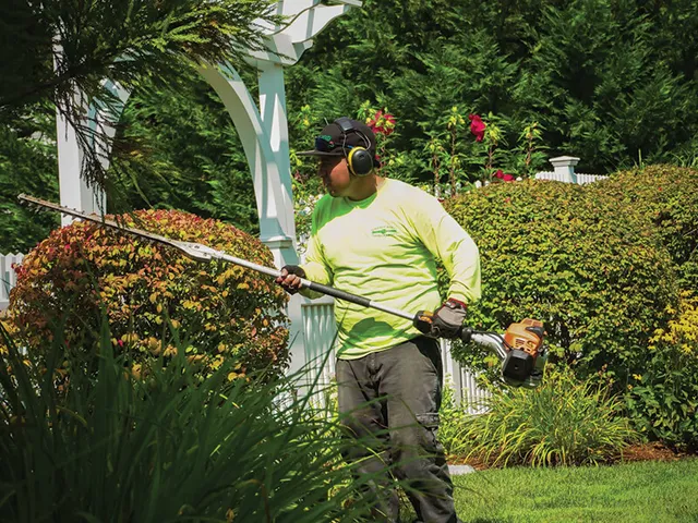 work photo from greenbirdlandscape.com