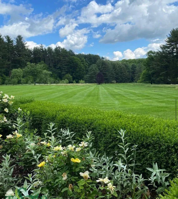 An immense, well-maintained lawn
