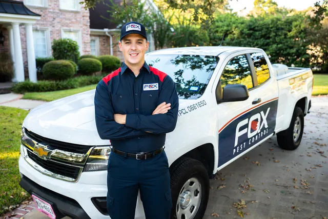 Fox Pest Control Manchester work photo