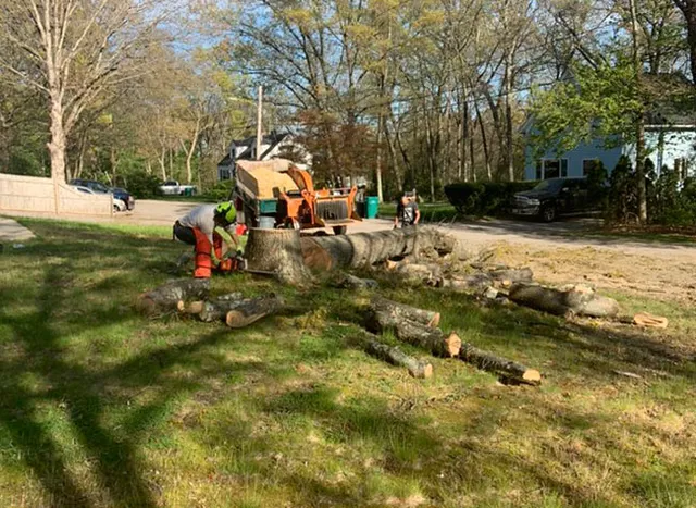 work photo from franktreeservicesandlandscapinginc.us
