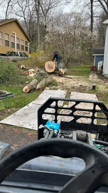 Yard with cut tree trunks and branches, seen from a tractor or mower seat, beside a house and shed