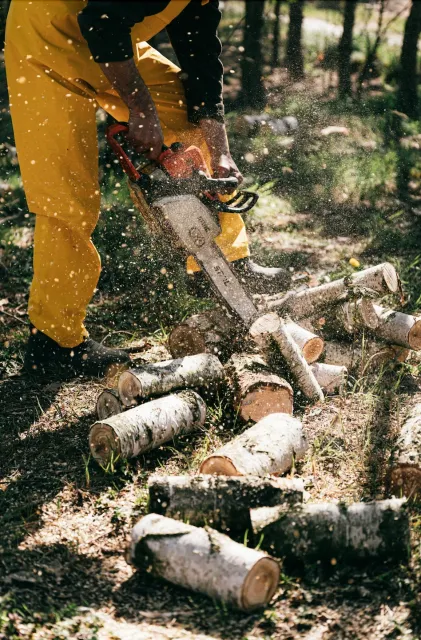 work photo from nartowicztreeservice.com