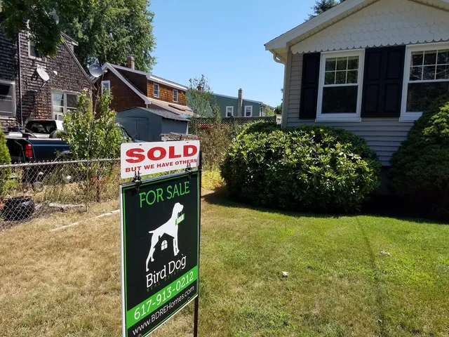 Bird Dog Real Estate