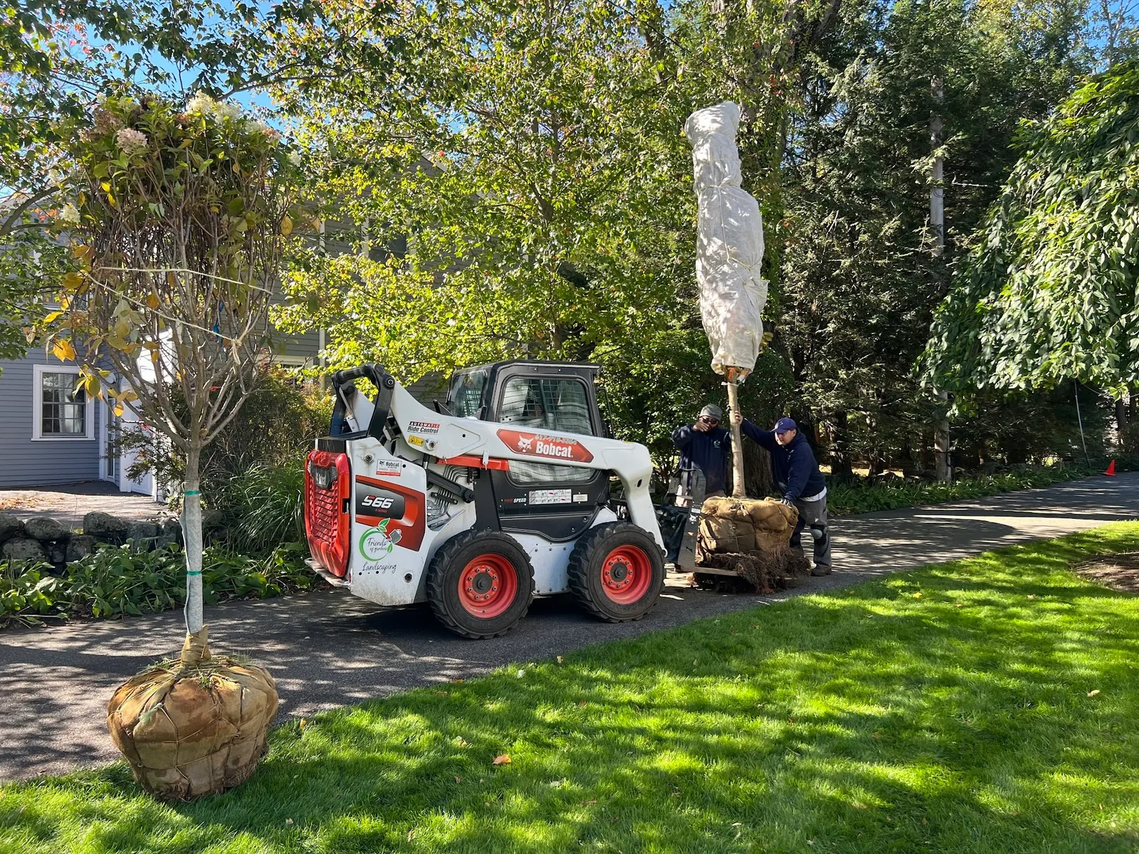 When Commercial Landscaping Maintenance Falls Apart!