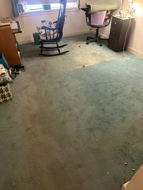 Elizabeth & Cloves Cleaning Inc researched project photo