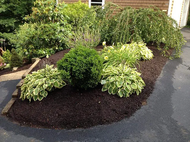 Organic Gardening & Landscaping work photo