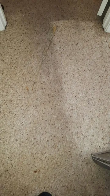 work photo from mitchellbrotherscleaning.com