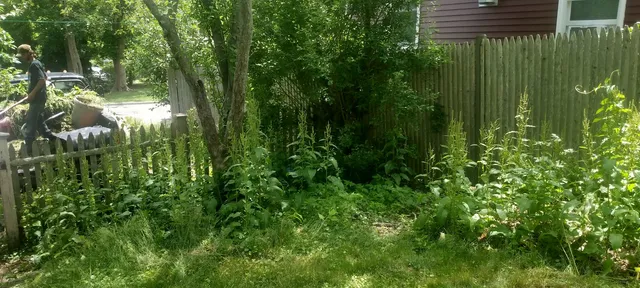Osborne Landscaping work photo