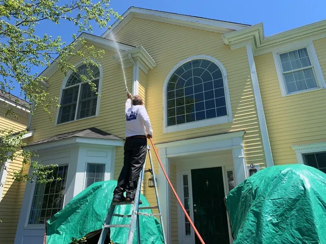 Stewart Painting
