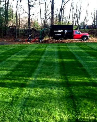 Landscape Contractors Zoom Image