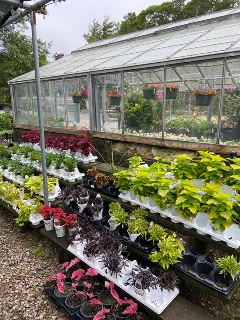 Paramount Landscaping & Garden Center work photo