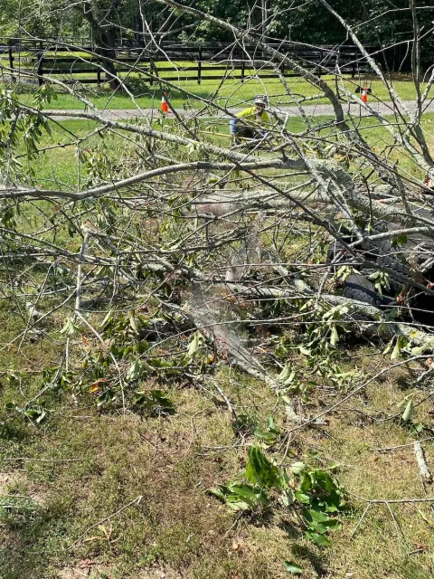 work photo from 207landscaping.com