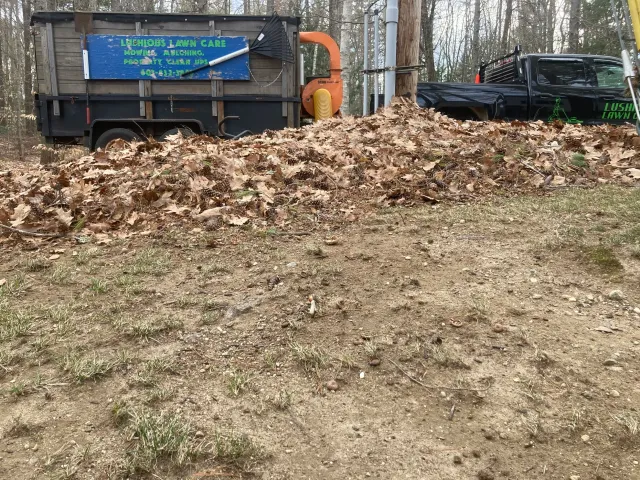 Spring and fall clean ups