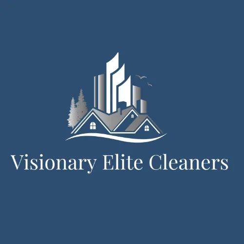 Visionary Elite Cleaners logo