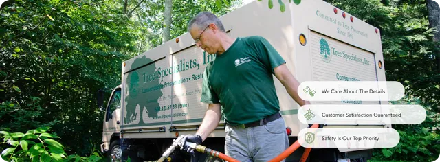 work photo from treespecialists.com