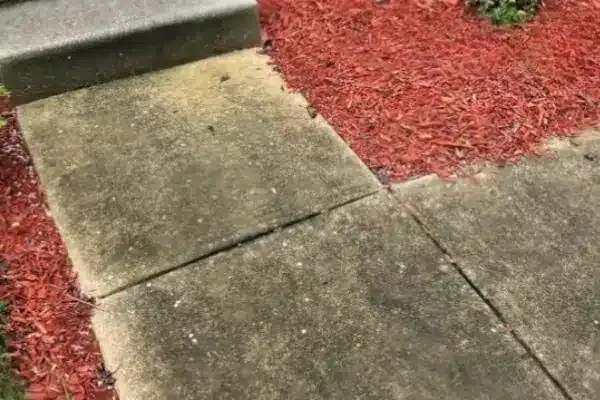 Before: Concrete pathway leading to steps, surrounded by red mulch. Some dirt and debris are visible on the concrete surface.