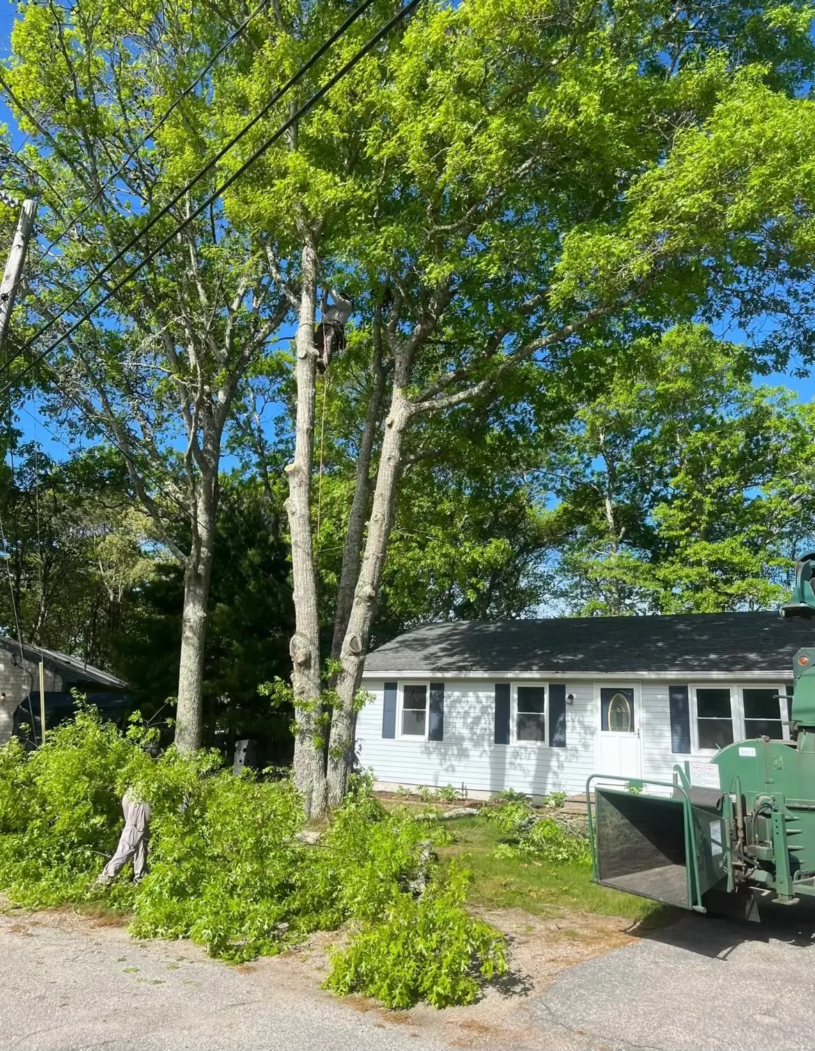 work photo from Google listing