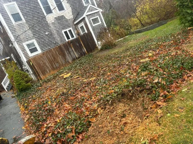 Fall Clean Up