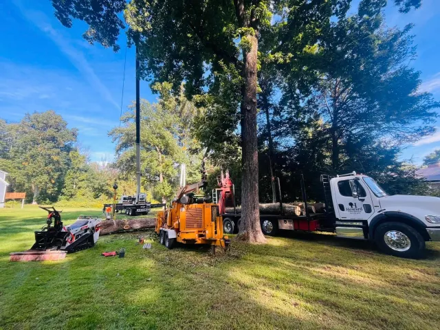 Tree removal equipment, including a wood chipper and trucks, working around a large fallen tree in a residential yard with a bright blue sky.