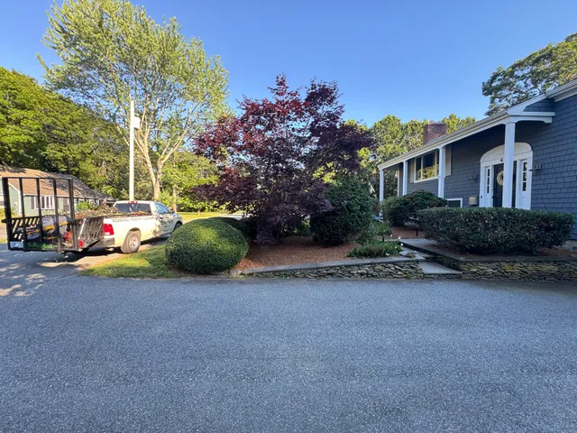 Fall leaf removal