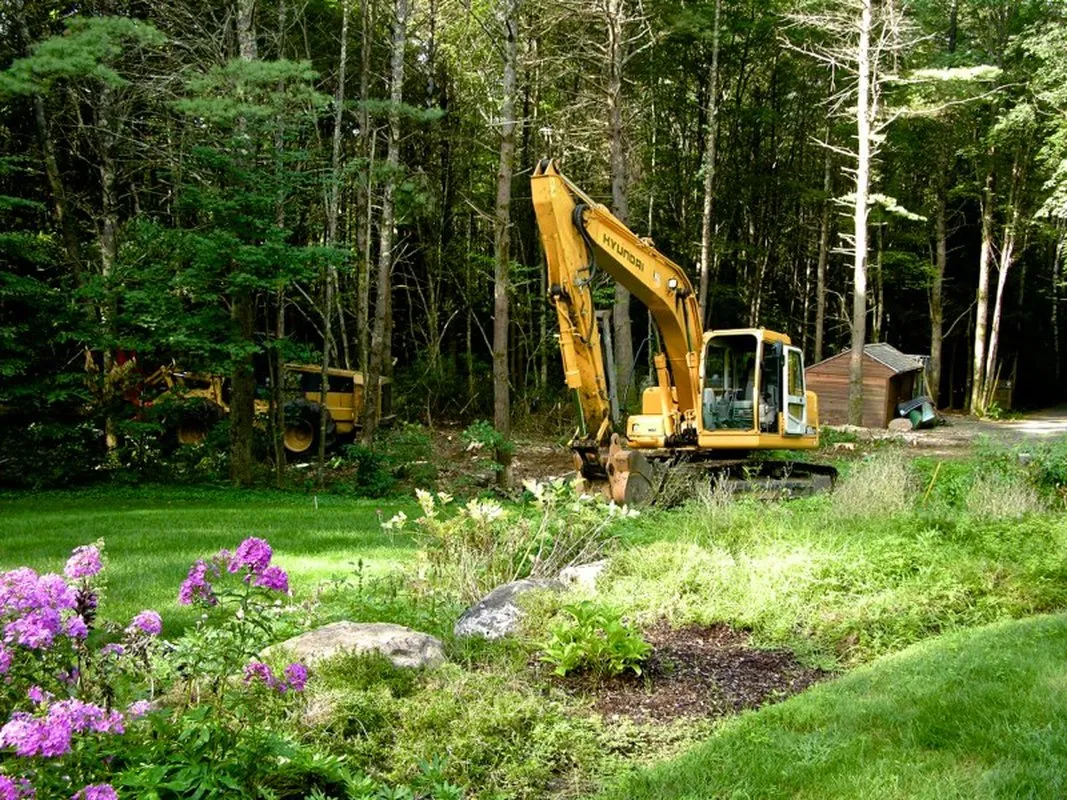 Overgrown Lot Cleanup