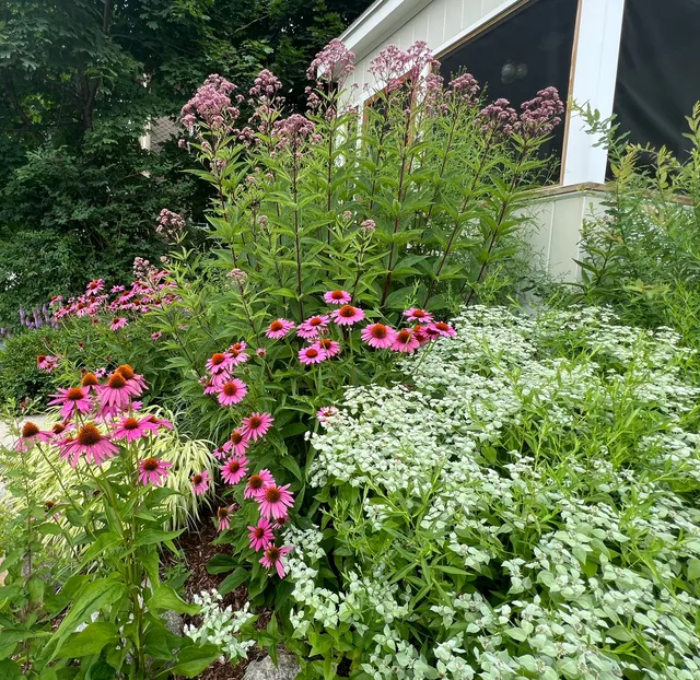 Wild Nectar Landscaping work photo