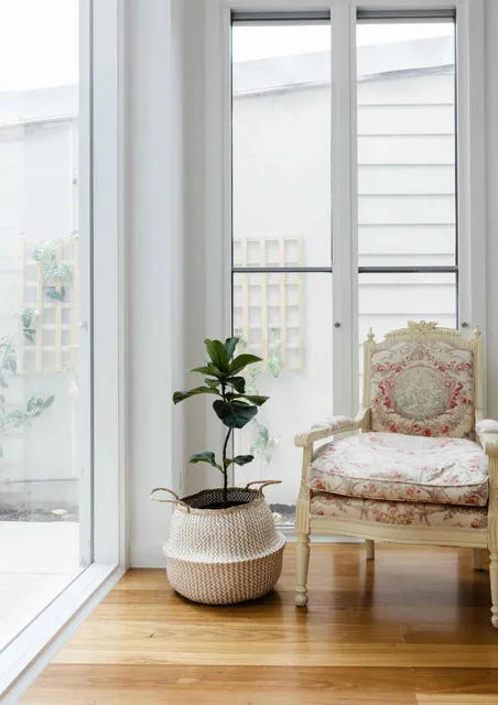 window-replacement-Newton-MA