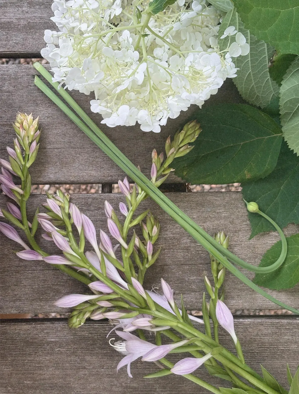 Early July- a great time to enjoy cut flowers from your garden.