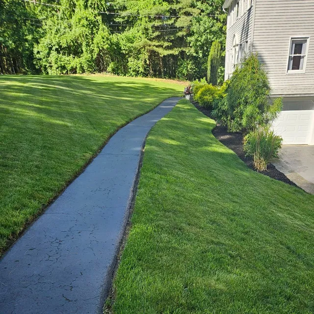 work photo from beniciolandscaping.com