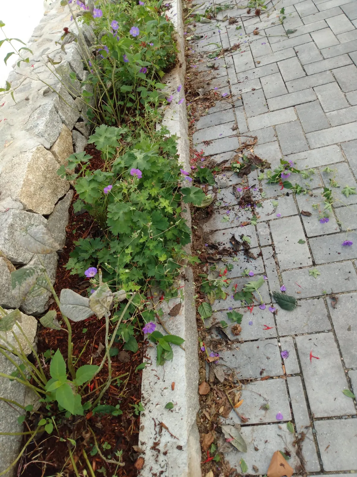 Estrada Landscaping Services