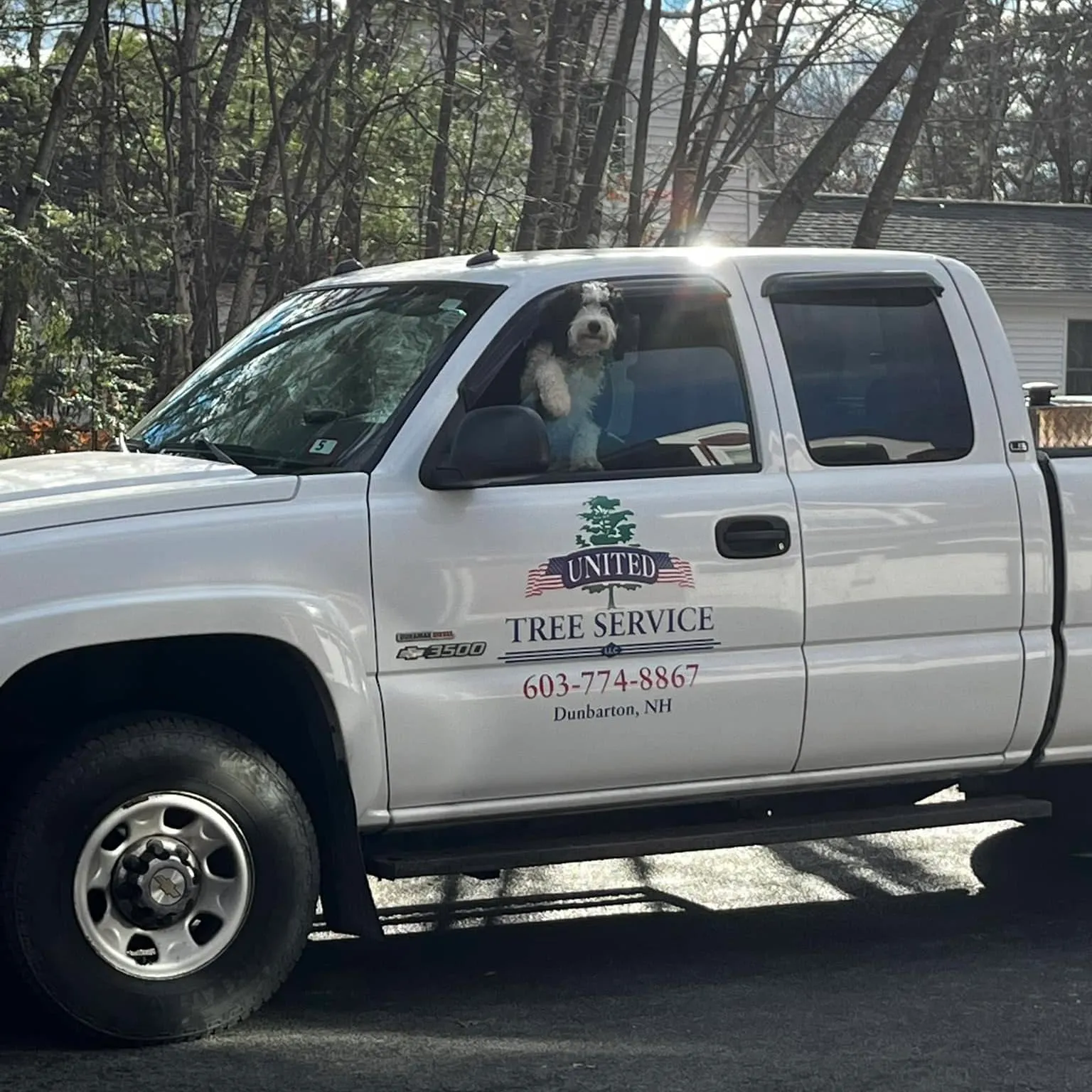 United Tree Service LLC researched project photo