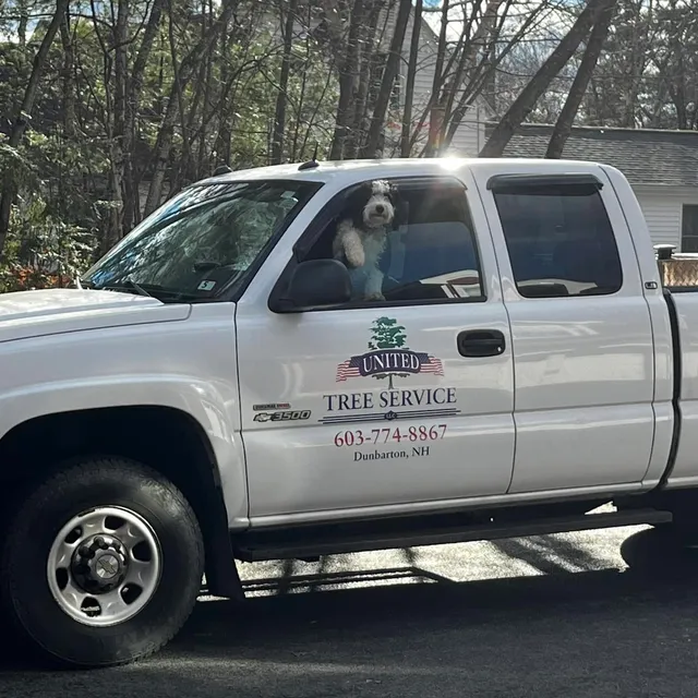 United Tree Service LLC researched project photo