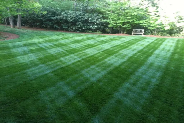 work photo from djflandcareandmaintenance.com