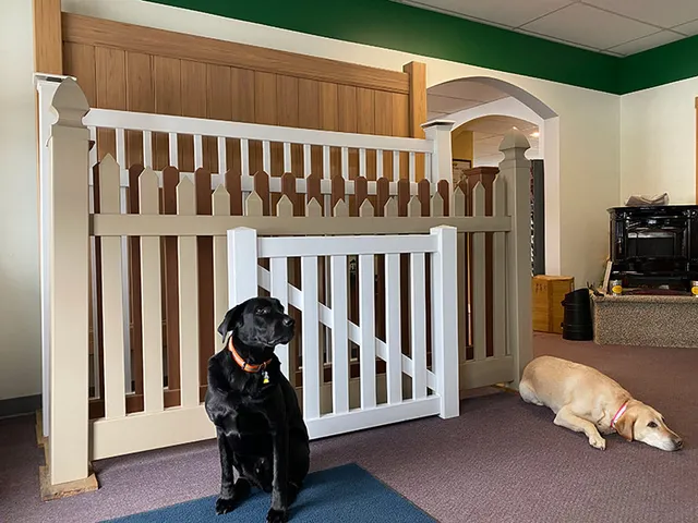 work photo from Google listing