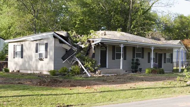 Tree fallen on house causing roof damage.