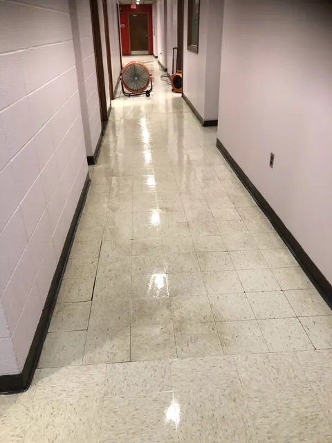 White Ocean Cleaning Solutions work photo