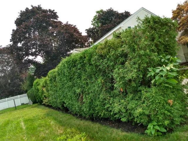 Estrada Landscaping Services