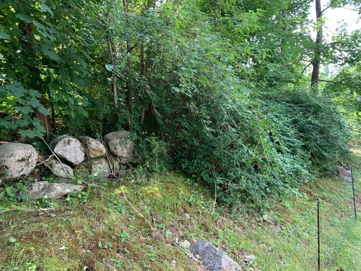 Before - Canton, MA