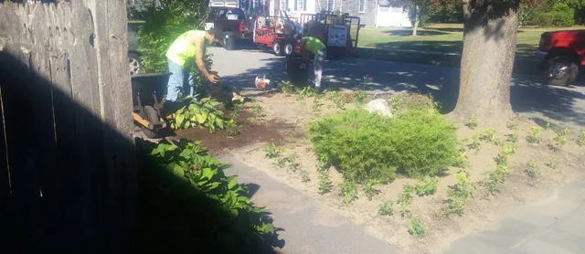 work photo from landscaperfallriver.com