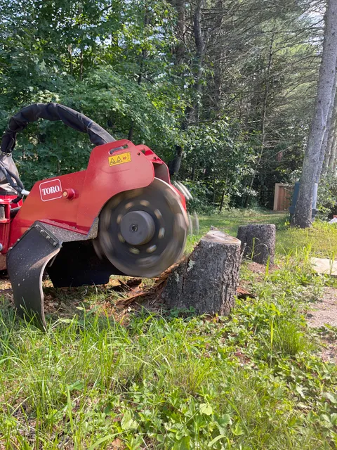 Greene's Stump Removal work photo