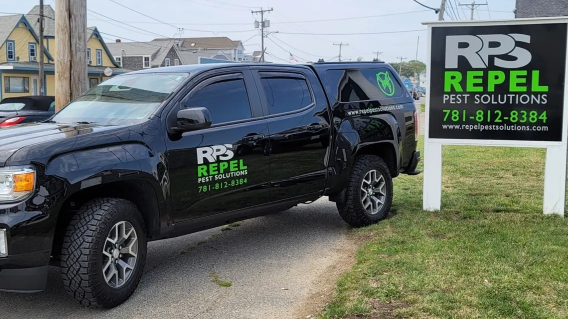 REPEL Pest Solutions