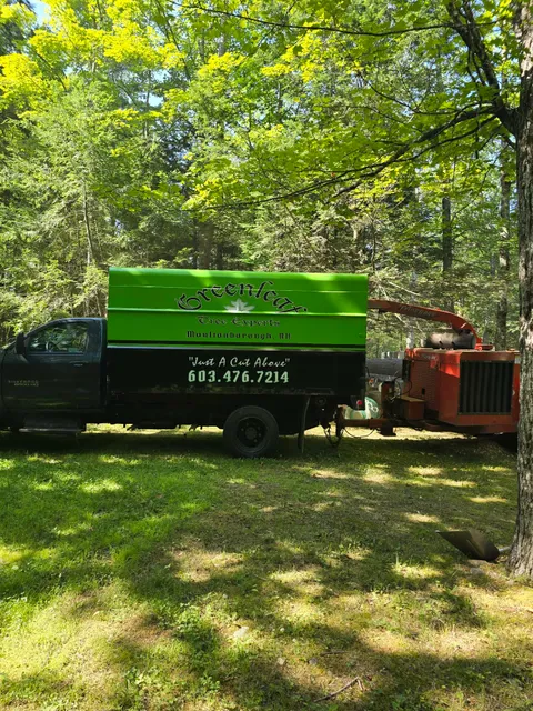 Greenleaf Tree Experts work photo
