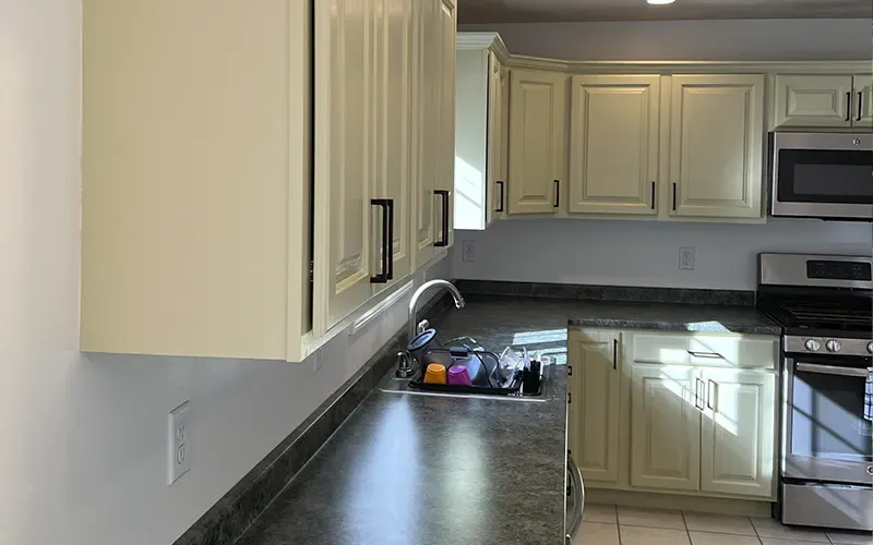 Antonelly Pro Painters LLC researched project photo