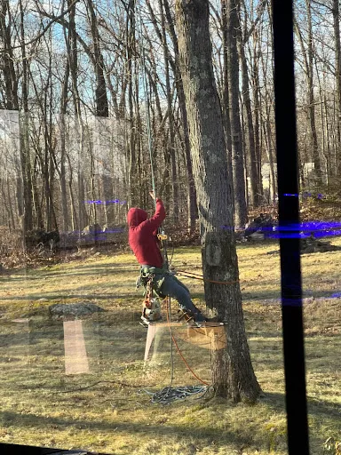 Review photo by David Pazer