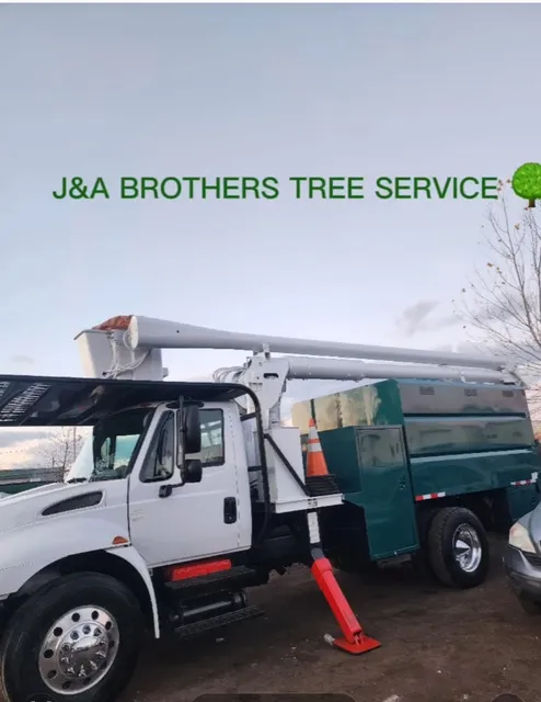 J&A Brothers Tree Service & Landscaping