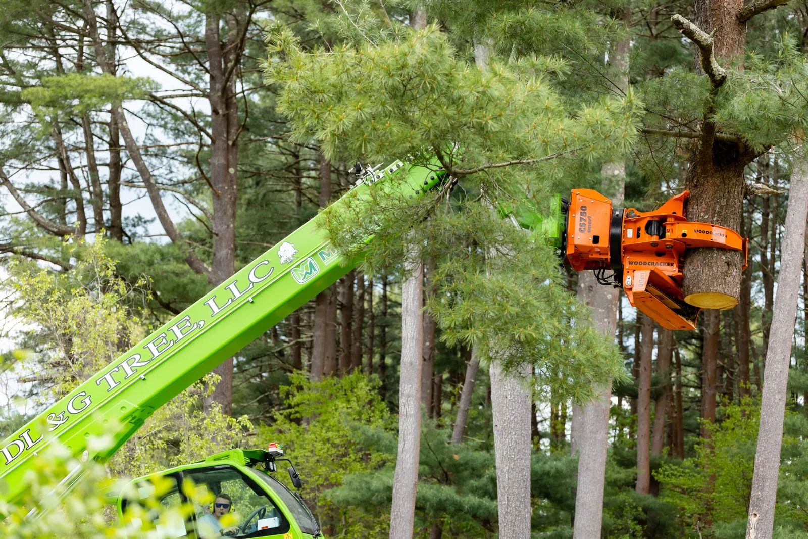 work photo from dlandgtree.com