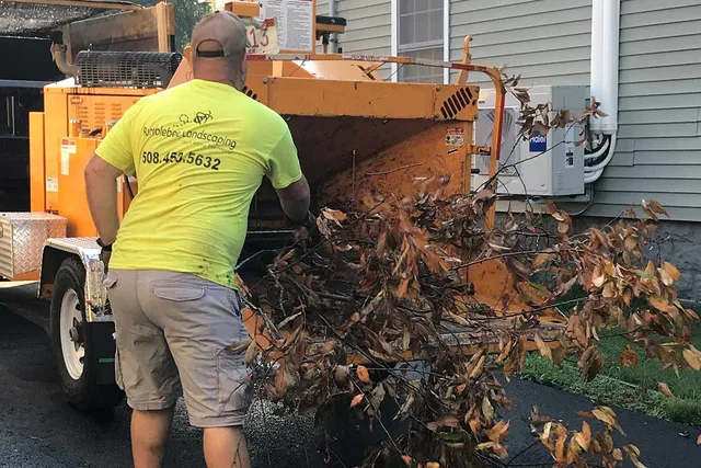 Bumblebee Landscaping researched project photo